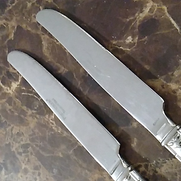 Portmeirion Botanic Garden Dinner Knives Set of 2 Glossy Stainless - Picture 6 of 7